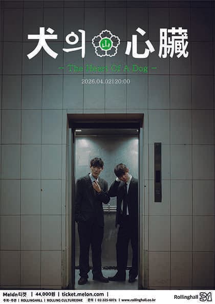 Rolling 31st Anniversary Concert, Scattered Perspective Solo Concert: Heart of Dogs